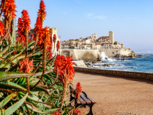 Learn French in Antibes
