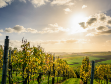 Learn French in Bordeaux