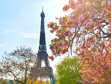 Learn French in Paris